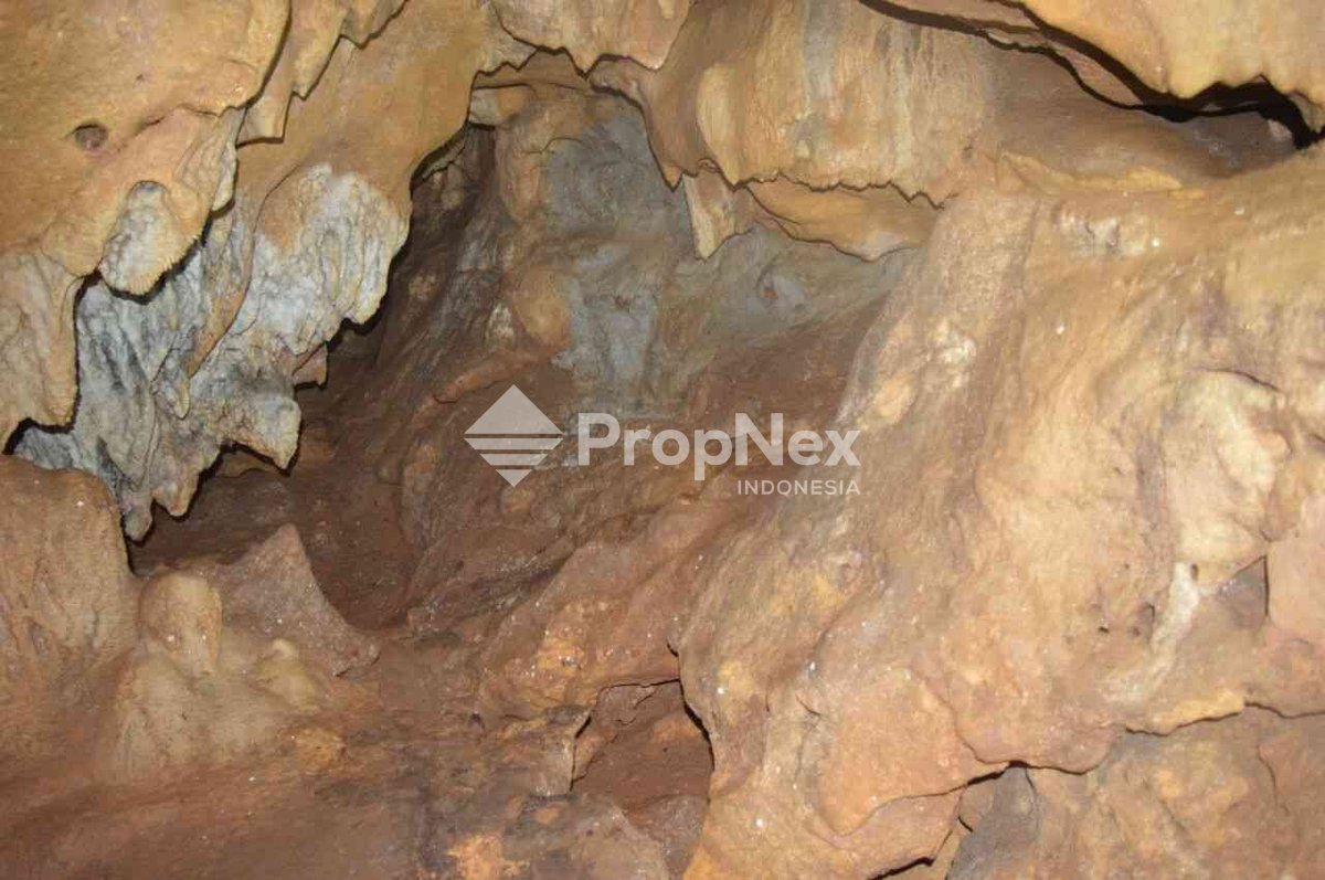 Dijual Gowa Tuban — foto 3